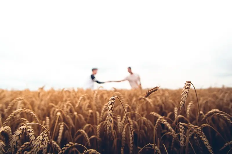 Farmers in the field